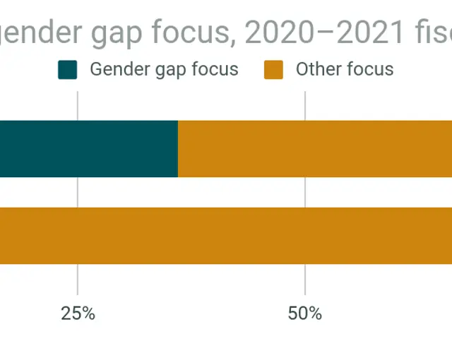 The image shows a bar chart depicting the gender gap focus of funds and grants by gender in...