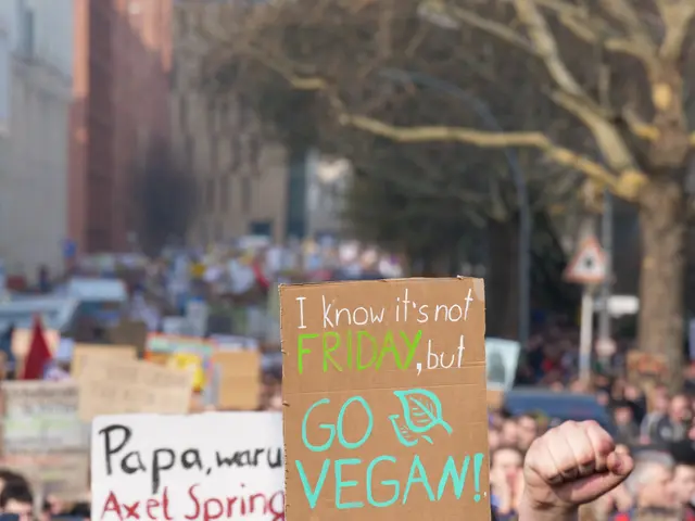 The image shows a person holding a sign that reads "I know it's not Friday, but go vegan" in front...