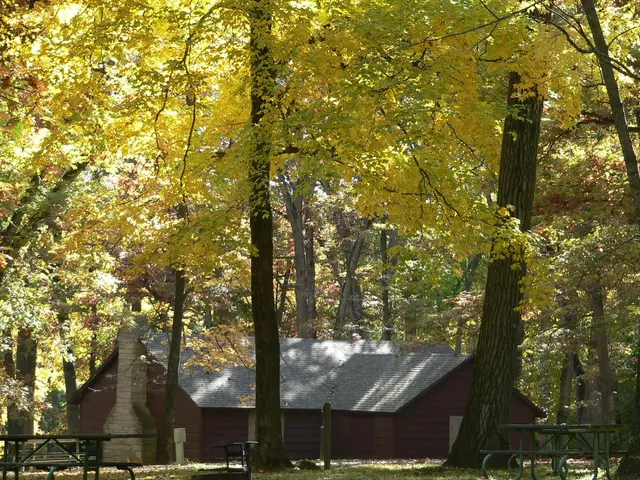 The image shows a cabin nestled in the woods surrounded by trees with yellow leaves. There are...