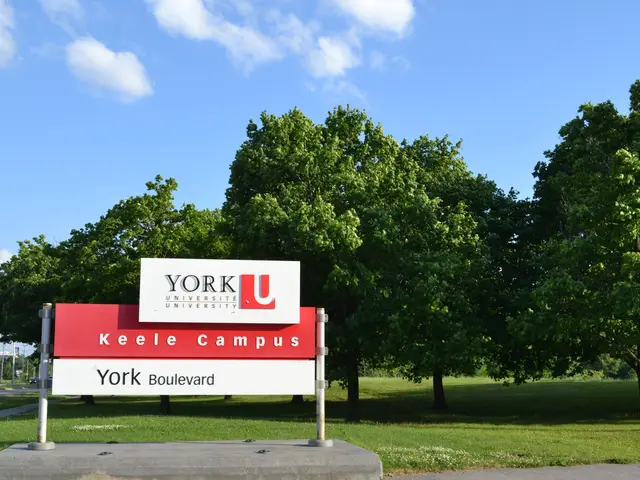 The image shows a sign that reads "York University Keele Campus" in front of a tree, surrounded by...