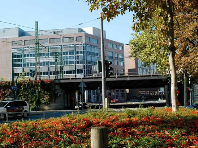 The image shows a city street with cars driving down it, surrounded by plants with flowers, trees,...