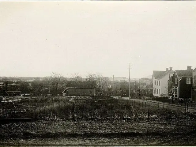 The image shows a black and white photo of a city street with buildings, poles, trees, plants, and...