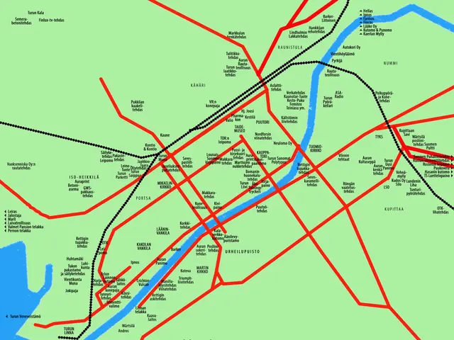 The image shows a poster of a map of the city of Istanbul, Turkey, with a green background and red...