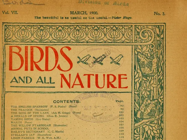 The image shows an old book with the title "Birds and All Nature" printed on the cover. The book is...