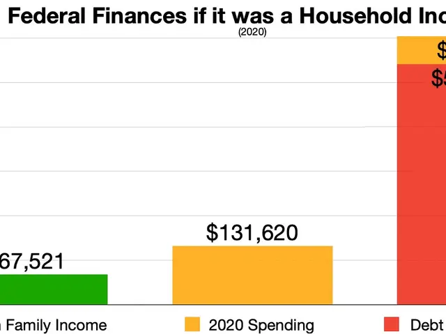 The image shows a chart with text at the top that reads "Federal Finances if it was a Household...