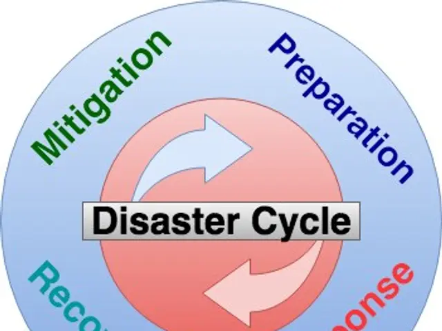 The image shows a circular diagram depicting the disaster cycle, with text written around it. The...