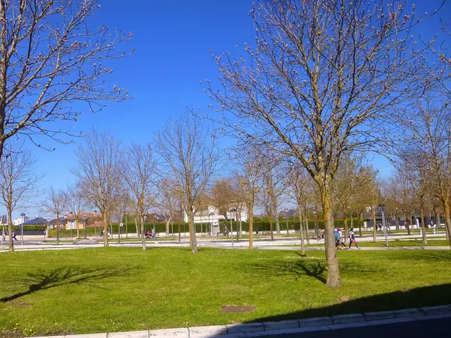 The image shows a park with lush green grass and trees in the middle of it, surrounded by people...