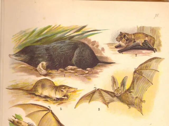 The image shows a book with a variety of animals, including a bat, on it. The book is open,...