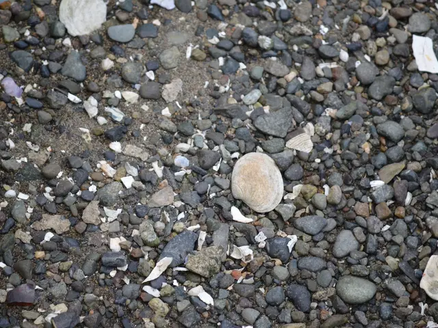 The image shows a beach with a variety of stones and pebbles scattered across the ground. In the...