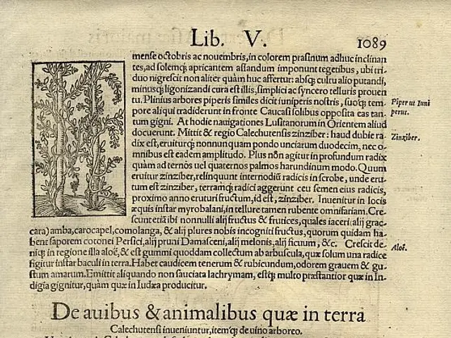 The image shows an open book with a drawing of a monkey and a bird on it, along with text and...