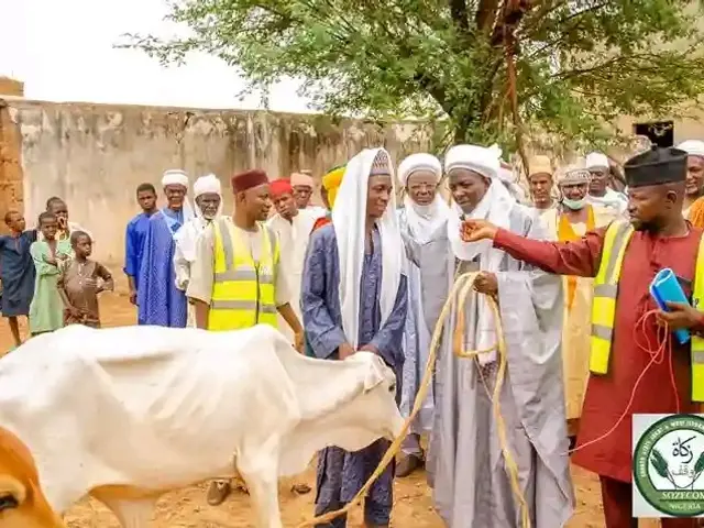 The image shows a group of people standing around a white cow, with a man holding a rope in his...
