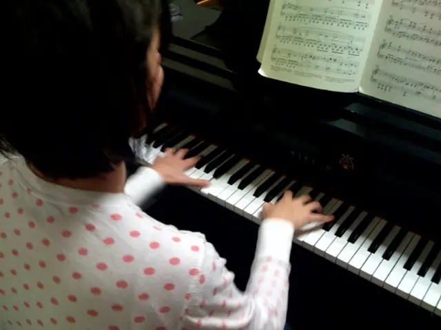 here we can see one person playing a piano. This is a book.